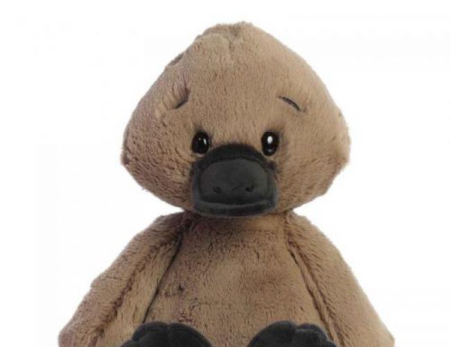 AURORA - PICCOLO PLATYPUS