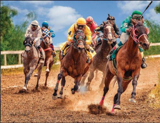 CANADIAN PHOTOGRAPHY 1000PC PUZZLE - VINTAGE HORSE RACING