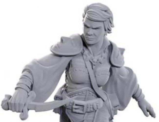 UNPAINTED MINIS: SWASHBUCKLER