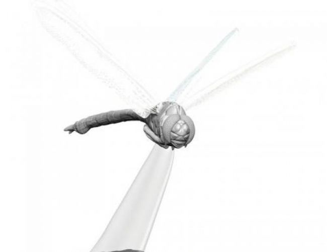 UNPAINTED MINIS: GIANT DRAGONFLY