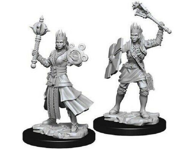 UNPAINTED MINIS: FEMALE HUMAN CLERIC