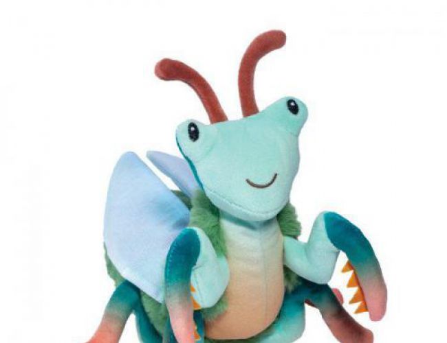 DOUGLAS 1628 MICAH PRAYING MANTIS