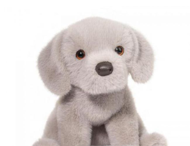 DOUGLAS 1959 ARGENTO SILVER LAB PUP