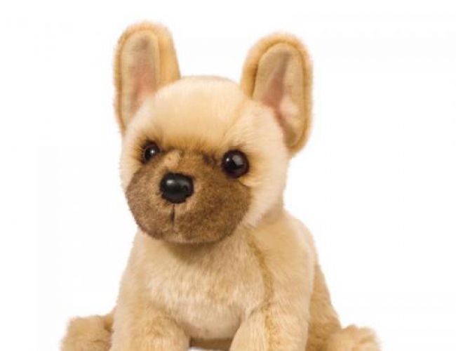 DOUGLAS 1964 NAPOLEON FRENCH BULLDOG