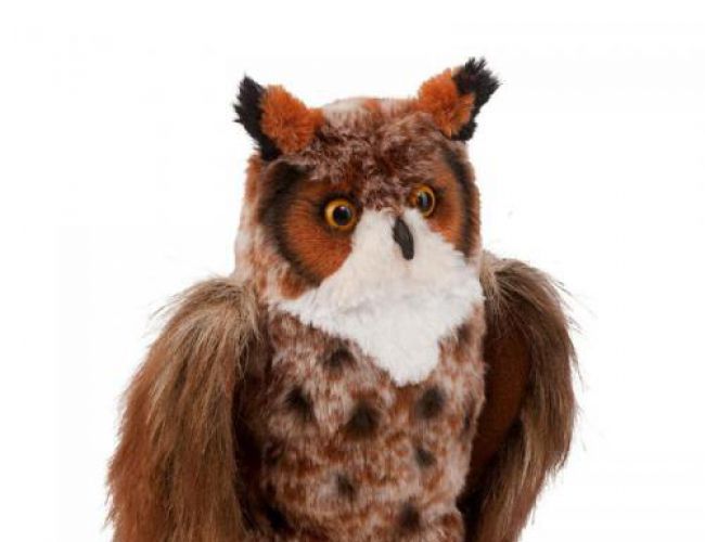 DOUGLAS 3838 EINSTEIN GREAT HORNED OWL