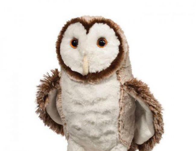 DOUGLAS 3842 SWOOP BARN OWL
