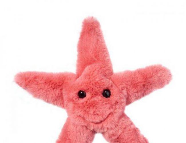 DOUGLAS 4474 CORAL STARFISH