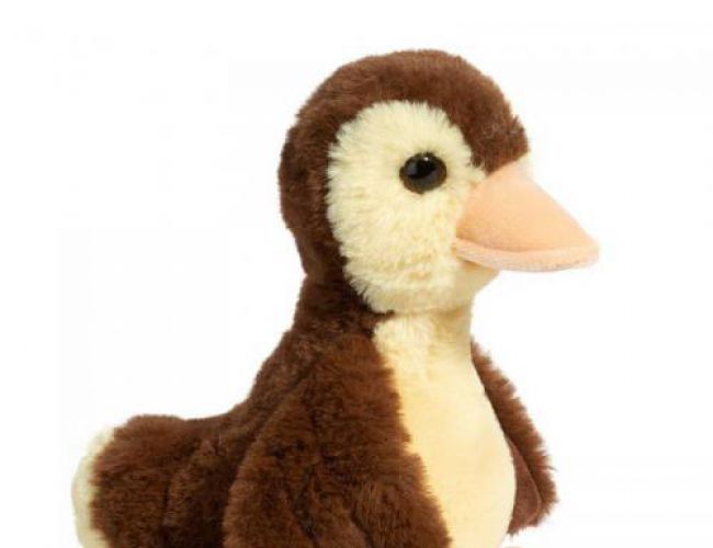 DOUGLAS 4508 MALLORIE BABY MALLARD (MINI)