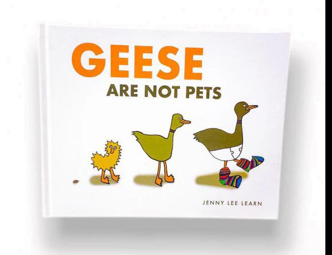 GEESE ARE NOT PETS by JENNY LEE LEARN (KIDS)