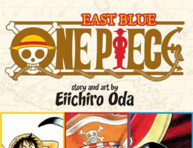 ONE PIECE 3-IN-1 VOL 01