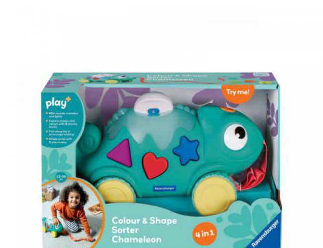 PLAY+ COLOUR & SHAPE SORTER (12-36 months)