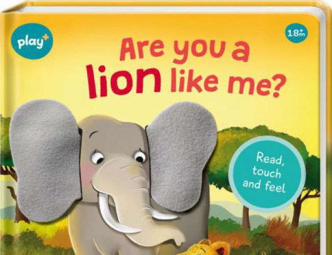 READ, TOUCH, AND FEEL BOOK - ARE YOU A LION LIKE ME?