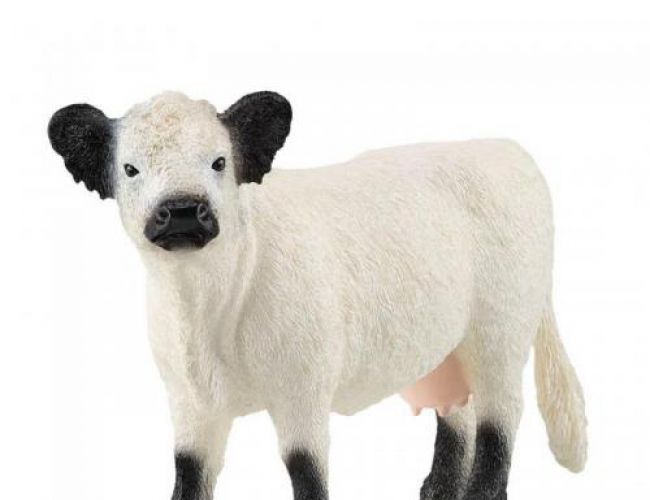 SCHLEICH GALLOWAY CATTLE