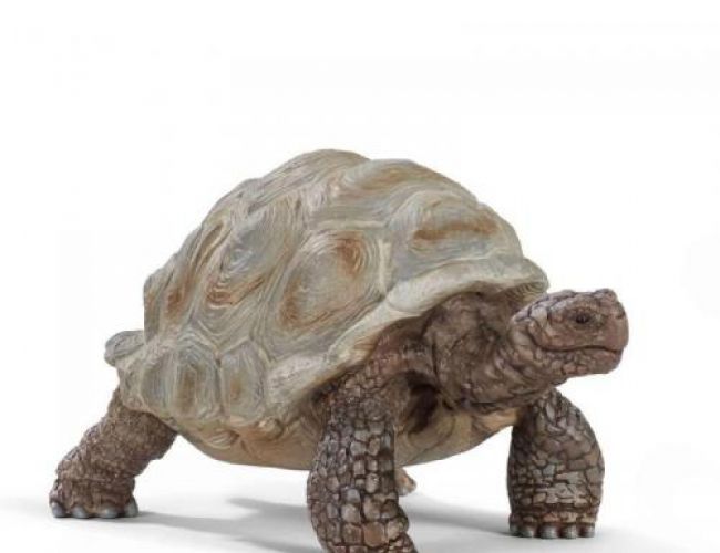 SCHLEICH GIANT TORTOISE