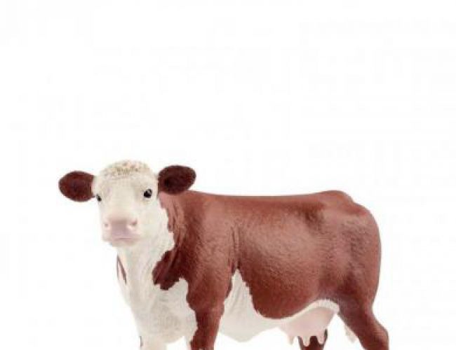 SCHLEICH HEREFORD COW