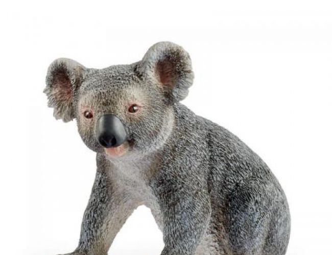 SCHLEICH KOALA