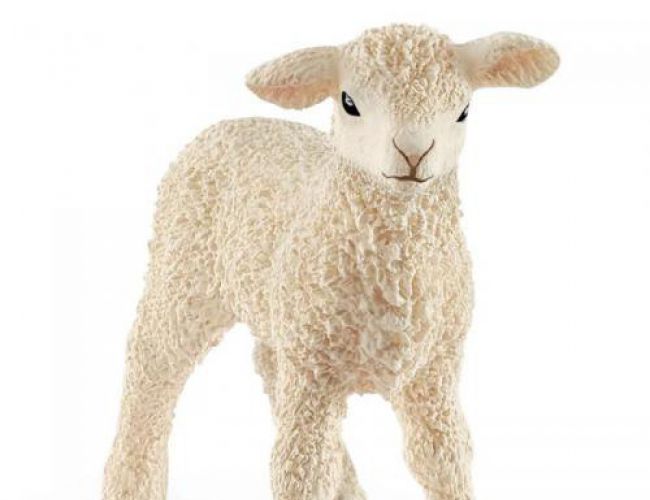 SCHLEICH LAMB