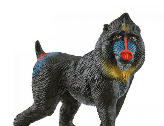 SCHLEICH MANDRILL