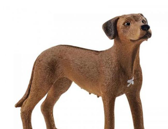 SCHLEICH RHODESIAN RIDGEBACK