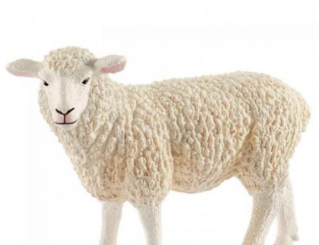 SCHLEICH SHEEP