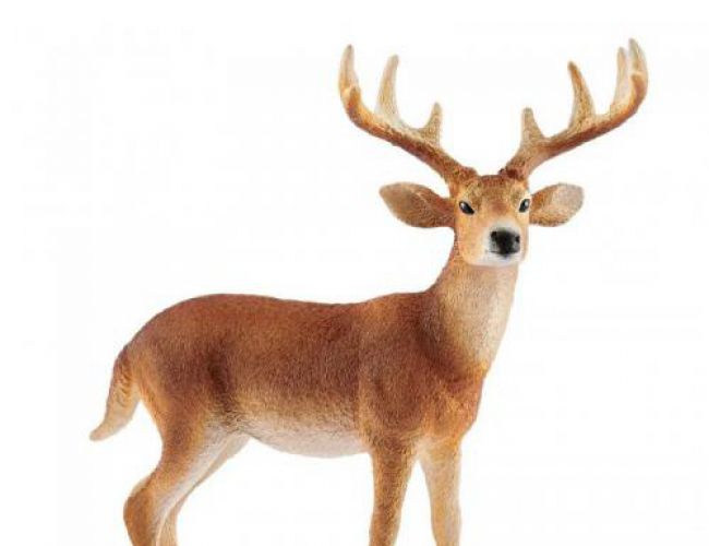 SCHLEICH: WHITE-TAILED BUCK