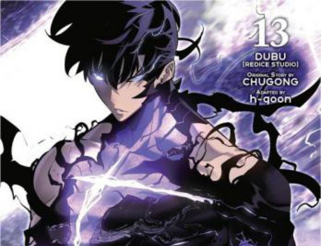 SOLO LEVELING VOL 13