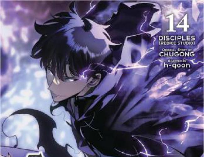 SOLO LEVELING VOL 14