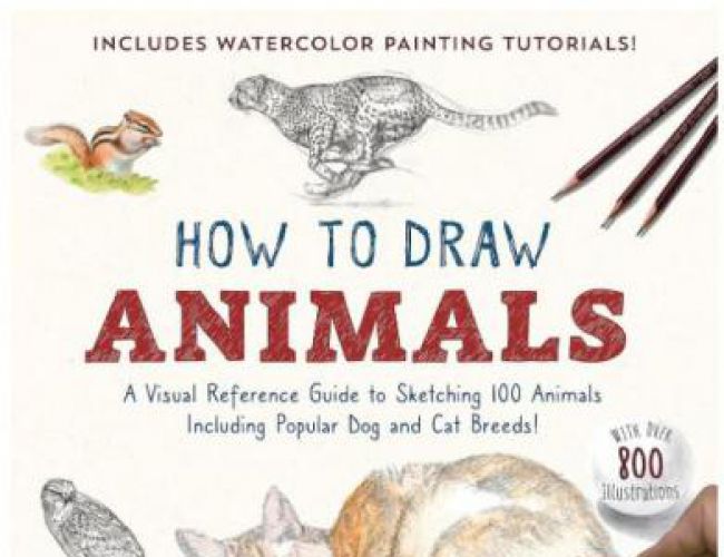 HOW TO DRAWWILD ANIMALS