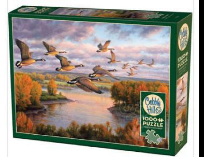 COBBLE HILL 1000 PCS MIGRATION