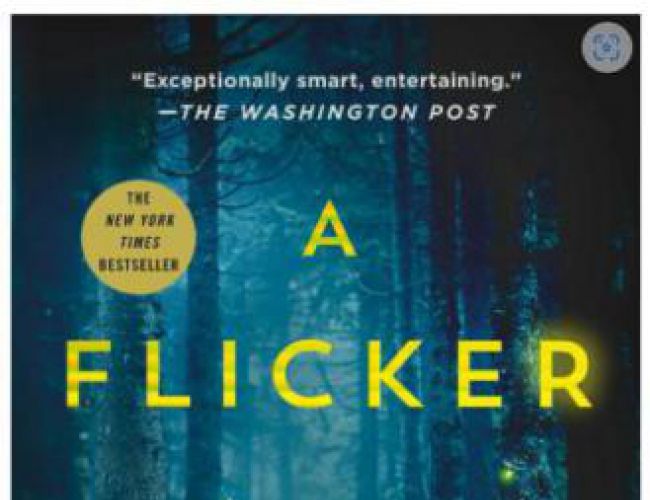 A FLICKER IN THE DARK by STACY WILLINGHAM