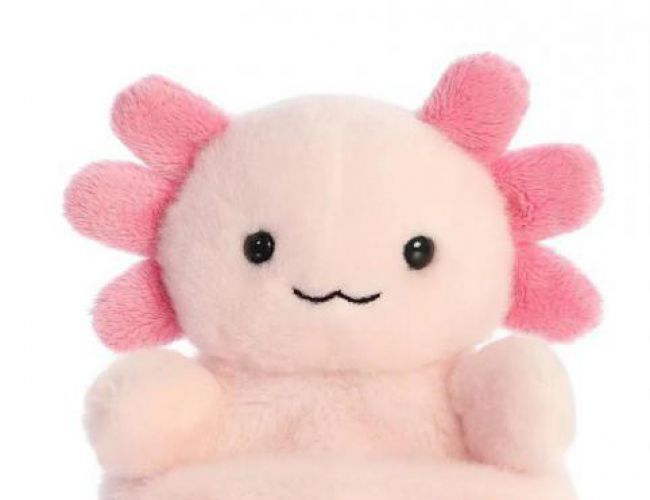 AURORA PALM PALS: AX AXOLOTL