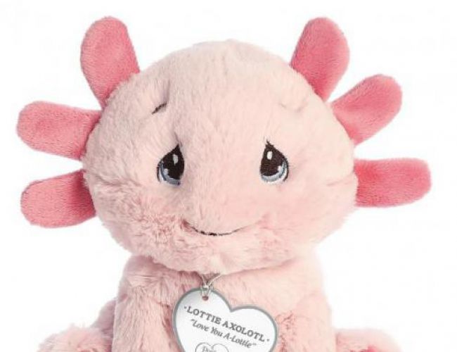 AURORA PRECIOUS MOMENTS: LOTTIE AXOLOTL