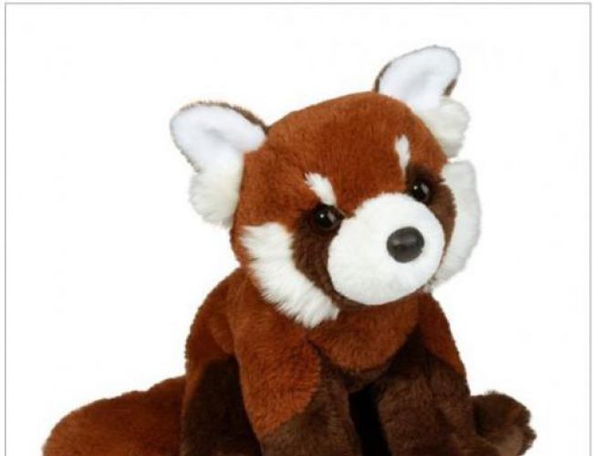 DOUGLAS 4619 KYRIE RED PANDA SOFT