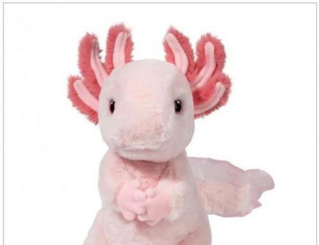 DOUGLAS 4655 LUISA  AXOLOTL SOFT