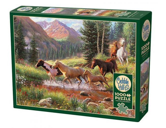 COBBLE HILL 1000 PCS MOUNTAIN THUNDER