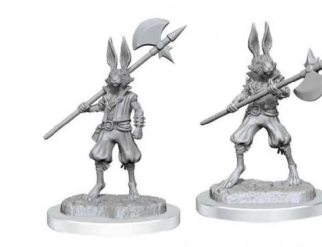 DND UNPAINTED MINIS WV18 HARENGON BRIGANDS