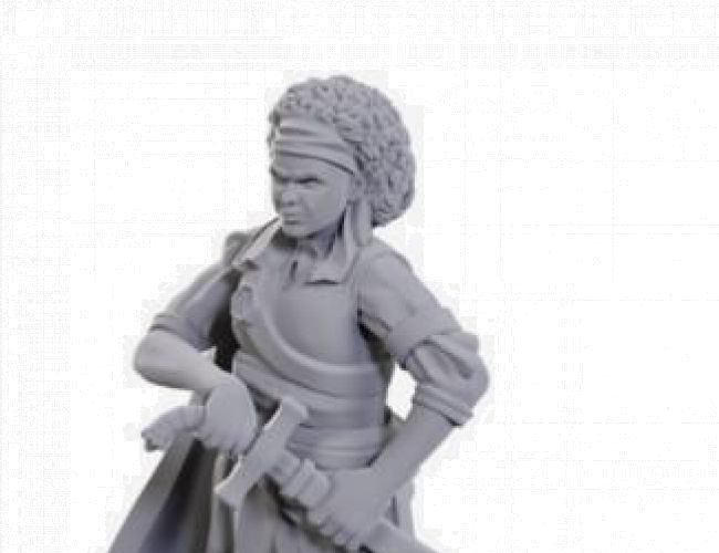 DND UNPAINTED MINIS WV23 ANSALON HUMAN ROGUE