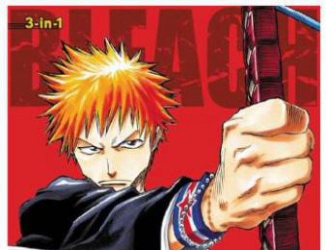 BLEACH 3-IN-1 VOLUME 01