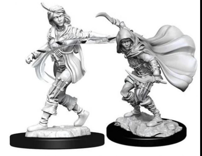 PATHFINDER WAVE 14 HUMAN ROGUE FEMALE