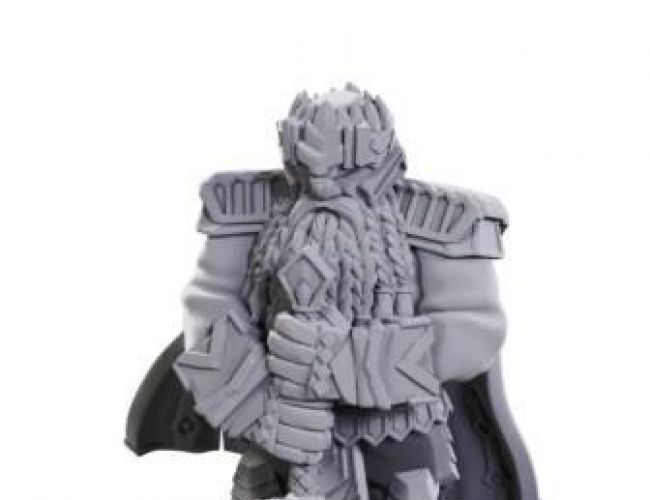 PF UNPAINTED MINIS WV23 MALE DWARF CHAMPION HIGH-LEVEL