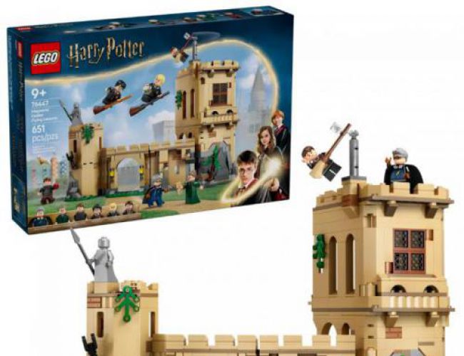 LEGO® 76447 Hogwarts™ Castle: Flying Lessons