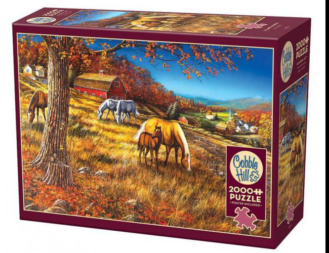 COBBLE HILL 2000 PCS HILLSIDE GATHERING