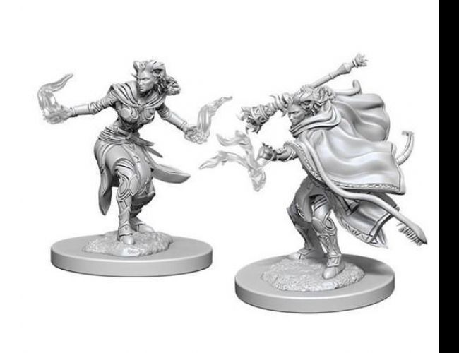 UNPAINTED MINIS: WARLOCK TIEFLING FEMALE