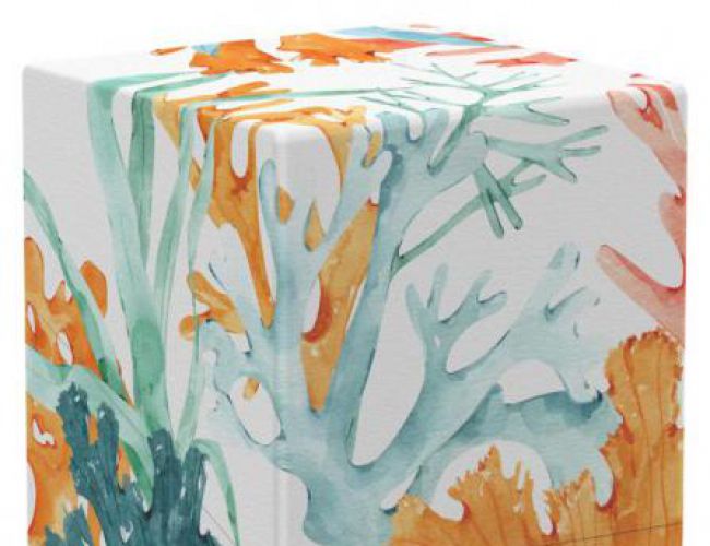UG DECK BOX: BOULDER (100CT) CORAL PLACES - CORALLINE EDEN