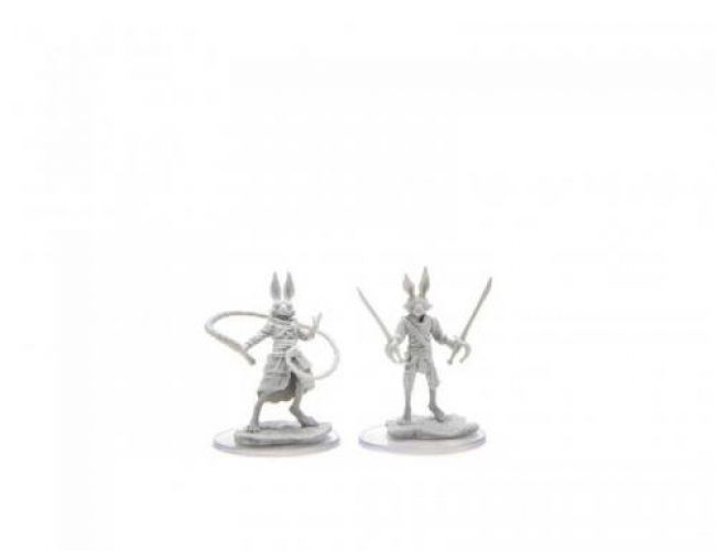 UNPAINTED MINIS: HARENGON ROGUES