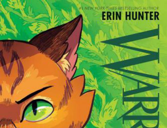 WARRIORS GRAPHIC NOVEL - THE PROPHECIES BEGIN: BOOK 1 - INTO THE WILD by ERIN HUNTER