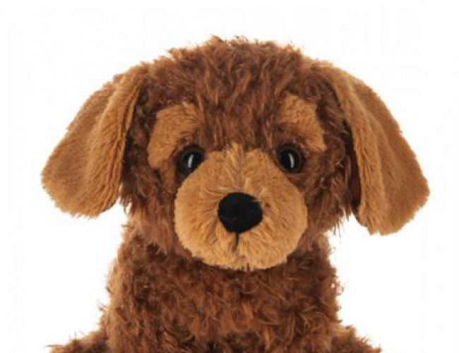 WEBKINZ COCKAPOO