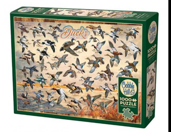 COBBLE HILL 1000 PCS DUCKS OF NORTH AMERICA