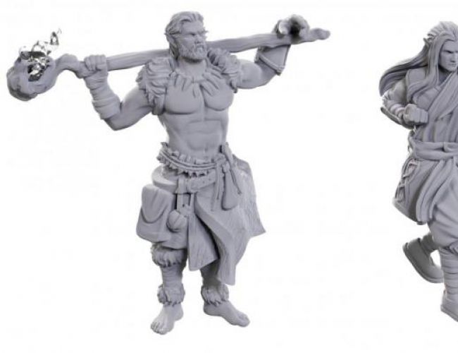 UNPAINTED MINIS: ARCHDRUID & MARTIAL ARTS ADEPT