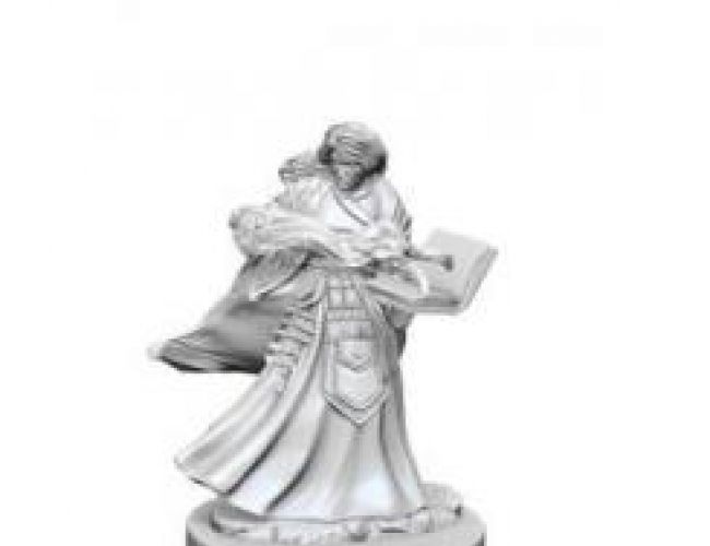 UNPAINTED MINIS: WIZARD HUMAN FEMALE